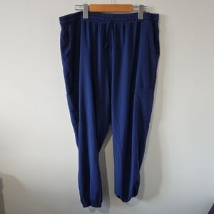 Ladies 2X Scrub Pants